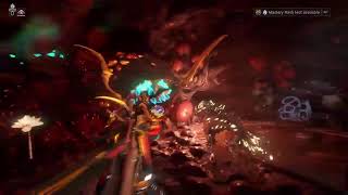 Stream With a Queen Warframe Helminth sees Charger [upl. by Euqirdor]