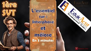 Lessentiel sur linterphase et la méiose en 3 minutesPremière spécialité SVT meiose méiose svt [upl. by Ilanos]