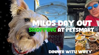 MILOs DAY OUT the day in life of MIlo with BISDAK [upl. by Eneleuqcaj32]