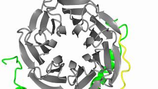 Heterotrimeric G protein alphabetagamma [upl. by Touber117]