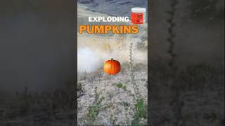 Exploding Pumpkins with Tannerite 🎃💥 [upl. by Whitney]