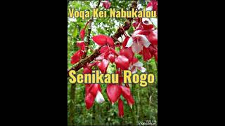 Voqa Kei Nabukalou  Senikau Rogo Cover [upl. by Ylhsa]