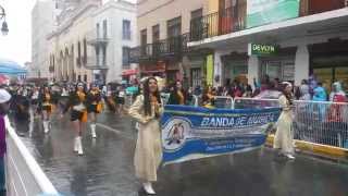 TOROS MARCHING BAND desfile del charro days 2015 [upl. by Michaela]