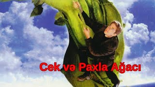 Cek və Paxla Ağacı Filmi Azərbaycanca Dublaj [upl. by Brita]