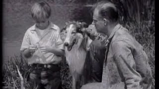 Lassie  Episode 6  quotThe Convictquot Originally broadcast 10171954 [upl. by Karalynn]