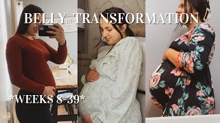 PREGNANCY BELLY GROWTH  week by week transformation baby 2 [upl. by Tirb]