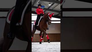 Christmas dressage🎅 dressage viral christmas [upl. by Dorella]