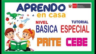 Aprendo en Casa EDUCACIÓN BASICA ESPECIAL  CLASES VIRTUALES  Ministerio de Educación PERÚ [upl. by Eninaej]