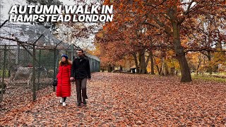 London autumn walk in Golders Hill Park and Hampstead Pergola one of Londons hidden gems 🍁🍂 [upl. by Eenimod]