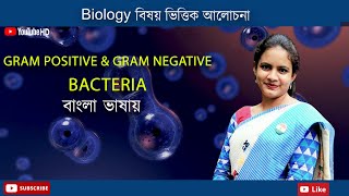 Gram Positive amp Gram Negative Bacteria  Biology in Bengali  Biologenetic [upl. by Pampuch]