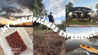 I Volunteered In The Australian Outback  My RAW and HONEST Worldpackers Review 🪨🚜🌏 [upl. by Nnylram857]