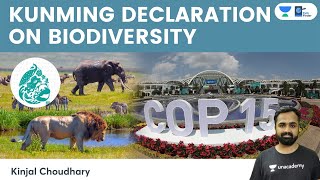 Kunming Declaration On Biodiversity  UN CBD  COP 15  30 By 30 Target  Kunming Biodiversity Fund [upl. by Elora]