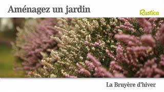 La bruyère dhiver [upl. by Tabbi]