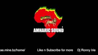 Amharic Sound System Mixtape [upl. by Kean]