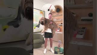 mrbeast ne itane share dog ko laa challenge doglover [upl. by Barboza261]