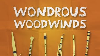 An Orchestra Adventure  Webisode 1 Wondrous Woodwinds [upl. by Dorian]