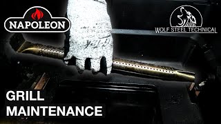 Napoleon Grill Cleaning amp Maintenance [upl. by Tali561]