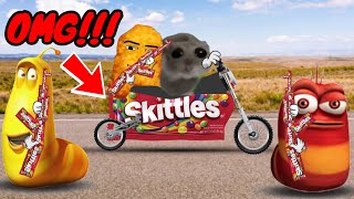 Skittles meme Sad Hamster and Red larva Bandito [upl. by Notnerb]