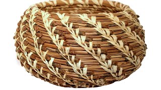 Coiled Basket Kit  Pine Needle [upl. by Elgar]