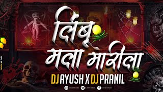 Limbu Mala Marila  Dj Ayush X Dj Pranil  AP Brothers [upl. by Kraska]