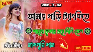 amar garir tanki ta আমার গায়ের টাংকিতে পায়েব ঢুকায় ভরে দিলি তেল  new Nagpuri song  Dj Probir [upl. by Ayana399]