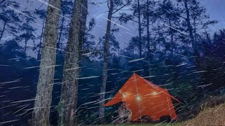 AMAZING‼️HEAVY RAIN CAMPING 🏕RELAXING IN A WARM TENT WITH THE SOUND OF RAIN ON THE TENT ROOF [upl. by Flaherty592]