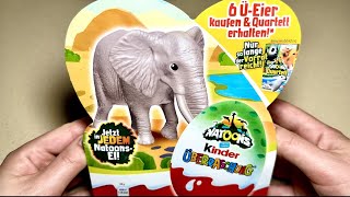 ASMR  Kinder Surprise Natoons Edition Unboxing 4 Eggs 4 Animals Figurines German Edition [upl. by Krall297]