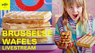 Heerlijke Brusselse Wafels  Sofie Dumont  Livestream [upl. by Lerner]