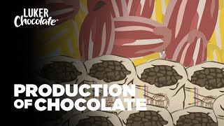 The Production of Chocolate Bean to Bar Chocolate [upl. by Lavicrep624]