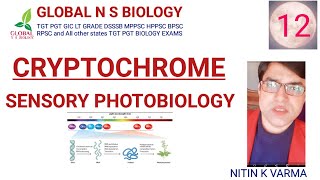 CRYPTOCHROME  SENSORY PHOTOBIOLOGY [upl. by Frissell334]