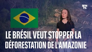 Déforestation le plan du président Lula pour sauver la forêt amazonienne [upl. by Carmencita257]