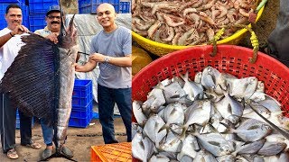 Mangalore’s LARGEST SEAFOOD MARKETIncredible Variety Of SeafoodMangalore BUNDERAffordable Fresh [upl. by Ndnarb35]