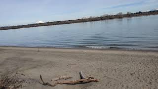 Columbia river Spring Chinook plunking [upl. by Bessy]