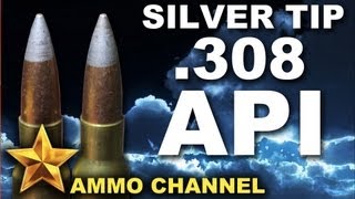 AMMOTEST Silver Tip 308 Armor Piercing Incendiary [upl. by Juliane]