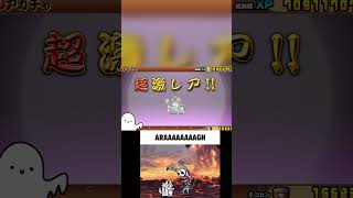 Getting Every Bikkuriman Unit 2 🙀🔥🙀👻 thebattlecats battlecat gaming battlecats [upl. by Aanas441]