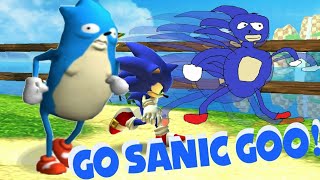 Go sanic goo [upl. by Erdna178]