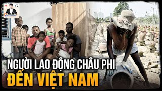 VÌ SAO NGƯỜI DÂN CHÂU PHI KÉO NHAU ĐẾN VIỆT NAM BỐC VÁC RỬA BÁT [upl. by Newlin]