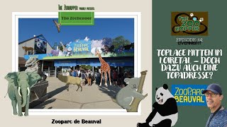 ZoohopperTV Episode 64 Zooparc de Beauval Overnight [upl. by Nanine148]