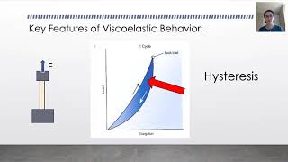 Biomechanics Tendon Viscoelasticity [upl. by Oiluj]