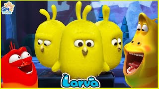 LARVA SEASON 1 EPISODE 289  391  NEW CARTOONS 2025  COMICS  HILARIOUS CARTOON COMPILATION [upl. by Hilliard]