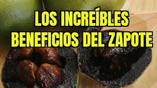 10 beneficios efectivos del zapote negro para tu salud [upl. by Secunda]