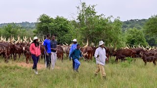 Museveni walks around Rwakitura on Christmas Day with wife Mama Janet Kataha [upl. by Hillhouse]