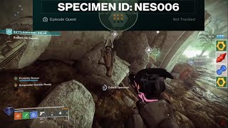 How to find SPECIMEN ID NES006 in ACT II  Destiny 2 ECHOES [upl. by Aniad175]