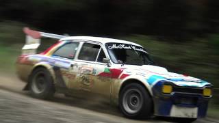 Ashley Forest Rallysprint 2015 Sundays qualifying run [upl. by Cordula]