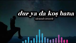 Taylan Kaya  Dur Ya Da Koş Bana  slowedreverb [upl. by Roee]