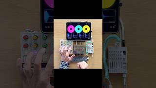 Chroma Console pedal live looping with Colour Palette thumb piano OPZ and Loopy Pro on iPad [upl. by Attelrahc]