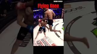 MVP Flying Knee recreate😱🔥 mma ytshorts shorts [upl. by Gibson598]