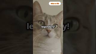 Do Cats Really Have Nine Lives The Truth About Their Amazing Survival Skills animals pets yt [upl. by Euqilegna390]