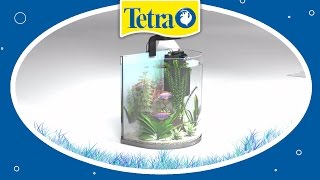 Aquarium Set  alles was man braucht I TETRA AquaArt Explorer Line [upl. by Ulrick]