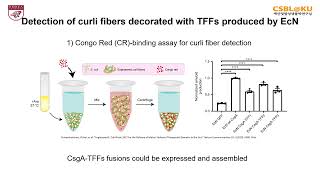 Engineered E coli Nissle 1917 for the delivery of matrixtethered therapeutic domains to the gut [upl. by Gabbie565]